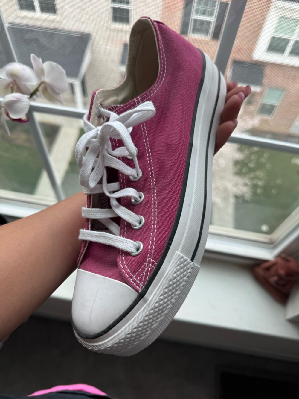 Converse Chuck Taylor Low Top Sneakers - Rose Pink Canvas - Picture 3 of 5